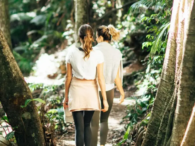 Gold Coast Tamborine Mountain, Lamington NP & O'Reilly's Tour