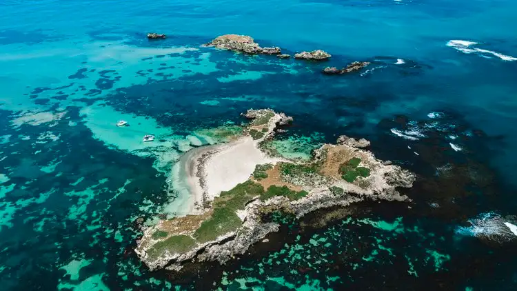 3 Island Snorkel, Wildlife & Seafood Lunch Cruise