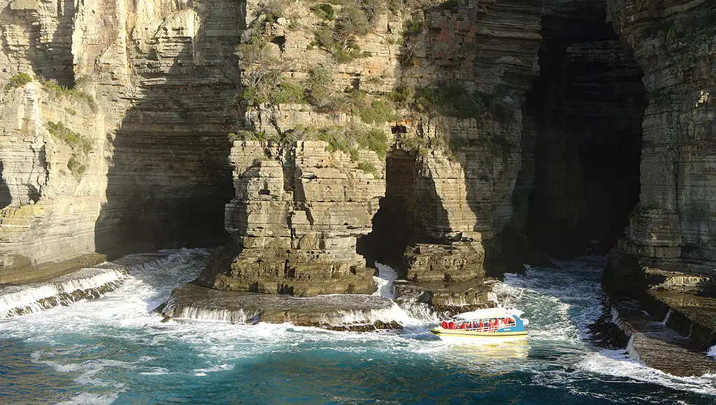 Tasman Island Wilderness Cruise | From Hobart