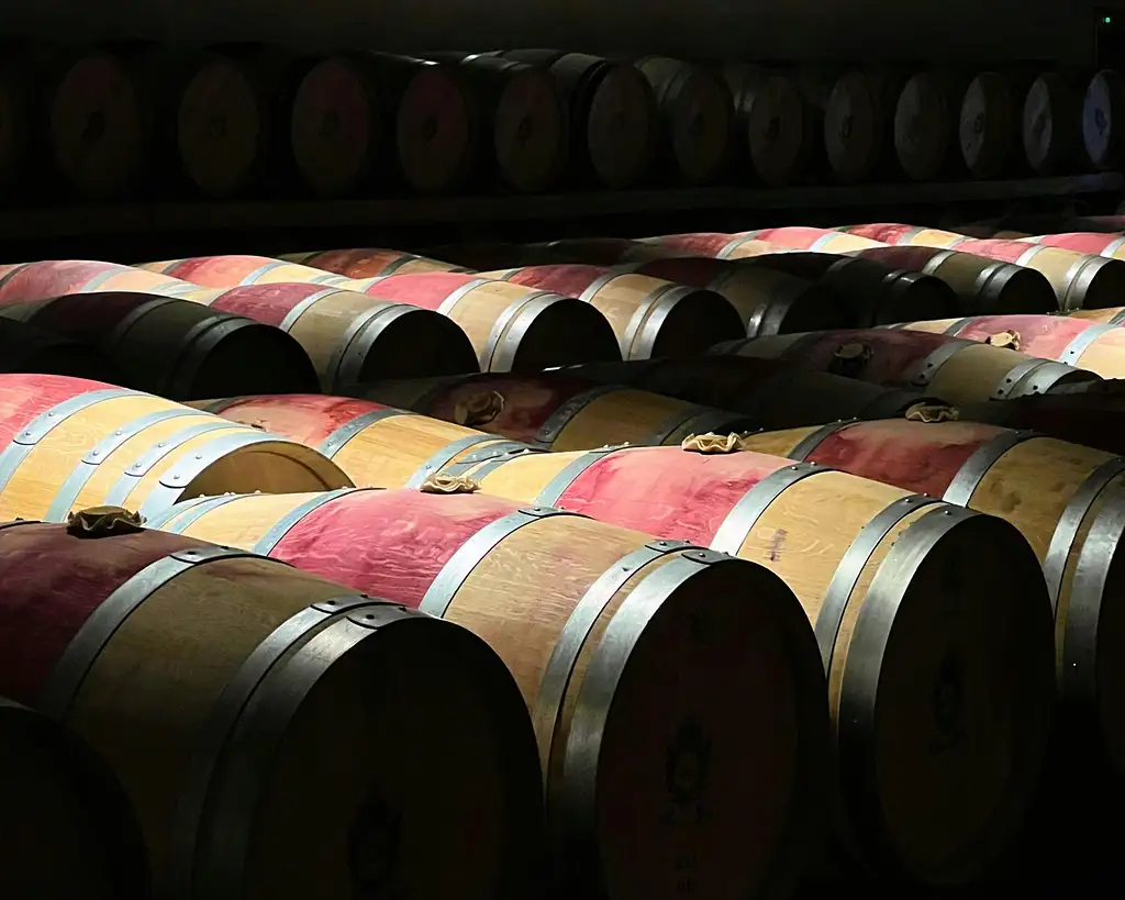 Morning Wine Tour of the Médoc