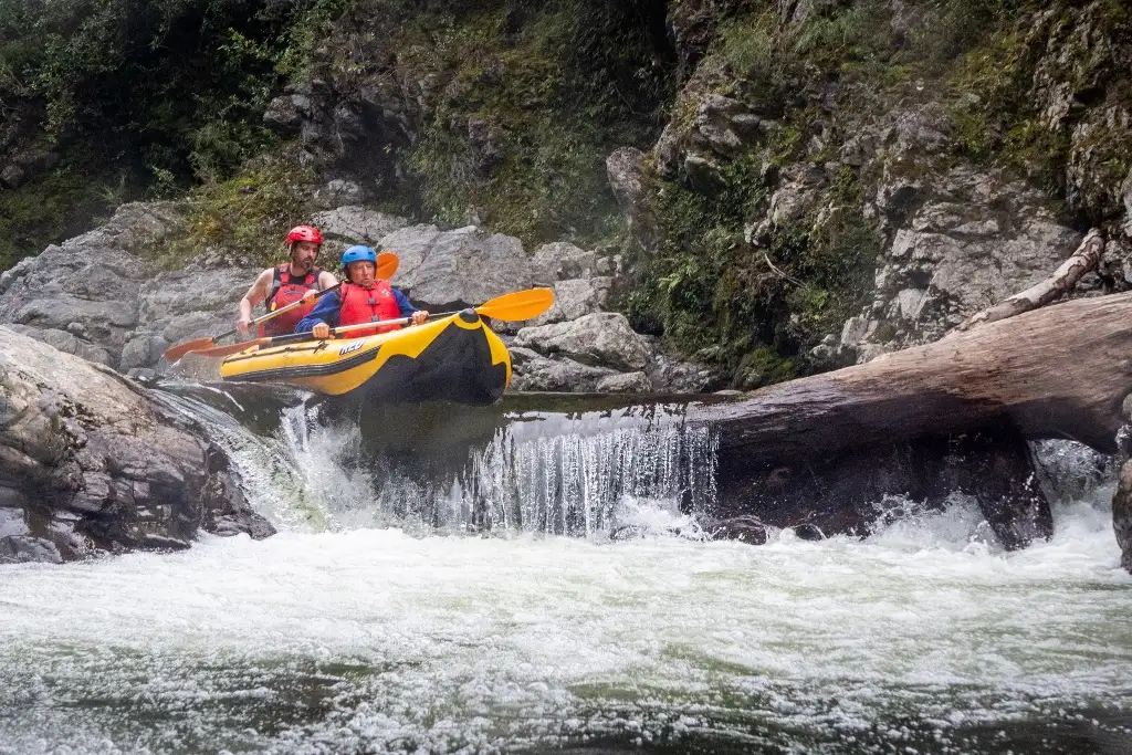 Te Awa Kairangi/Hutt River River Grade 3 Wilderness Rafting