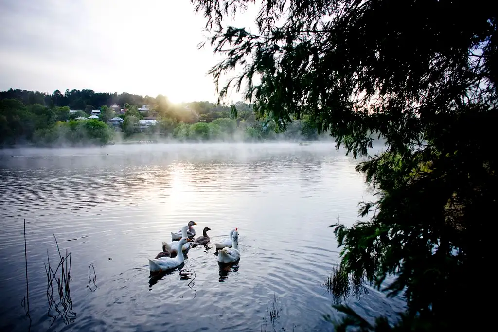 4 Day Daylesford & Goldfields Track Highlights Walking Tour