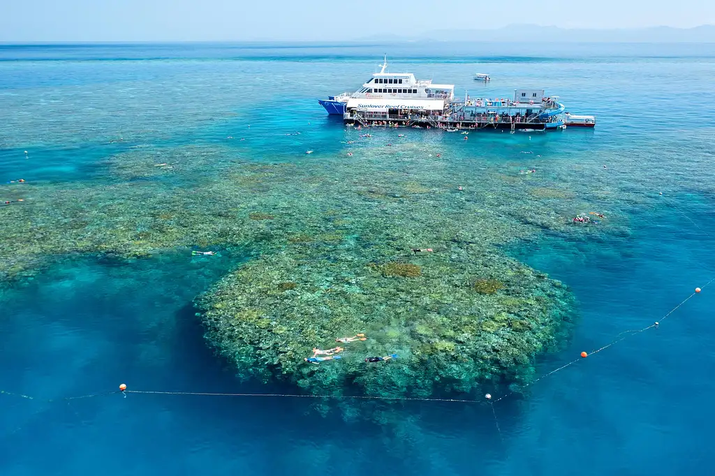 Moore Reef & Fitzroy Island | Reef & Island in a Day Tour