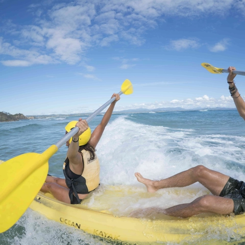 Dolphin Watching and Kayaking Experience from Byron Bay