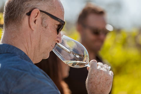 Swan valley wine tasting tours