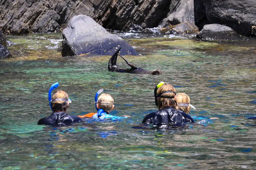 Kangaroo Island Helicopter & Snorkel Tour - Start & End Adelaide