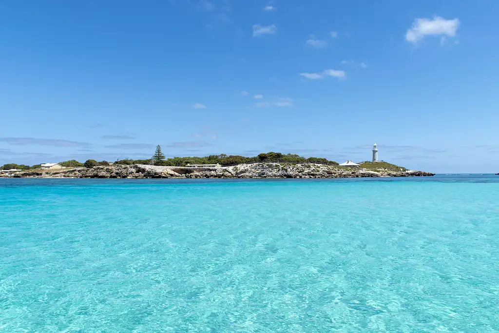Full-Day Luxe Rottnest Island Seafood Cruise & Ferry Transfers ex Perth or Fremantle
