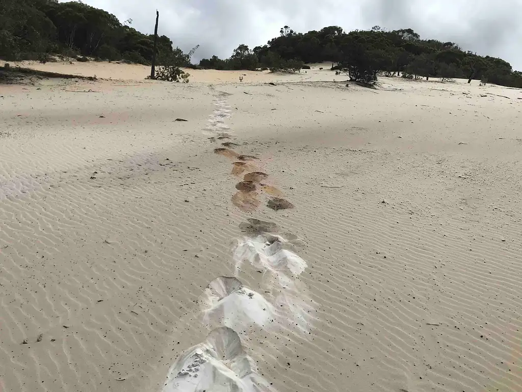Rainbow Beach & Great Sandy National Park with Lunch  - Full Day Tour