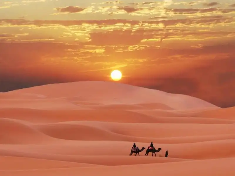 Morning Desert Safari ex Dubai