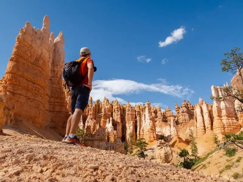 11 Day Yellowstone, Rocky Mountain & California Desert Tour