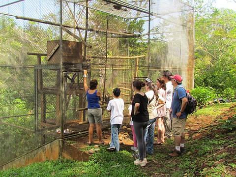 wildlife-sanctuary-quepos