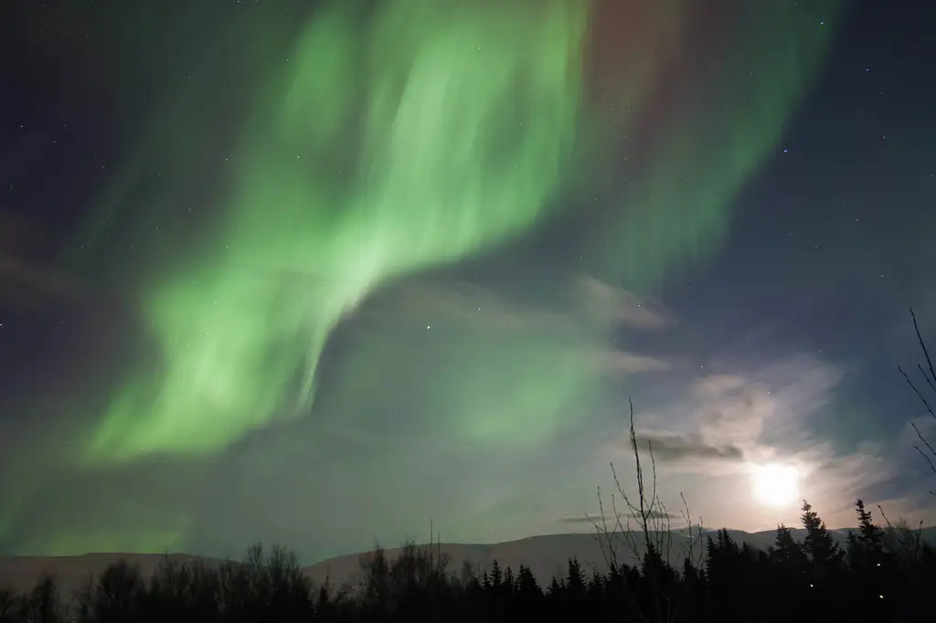 Luxury Northern Lights Photography Tour | Private Tour