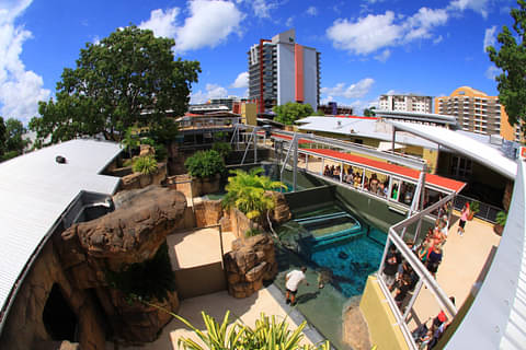 best crocosaurus tour