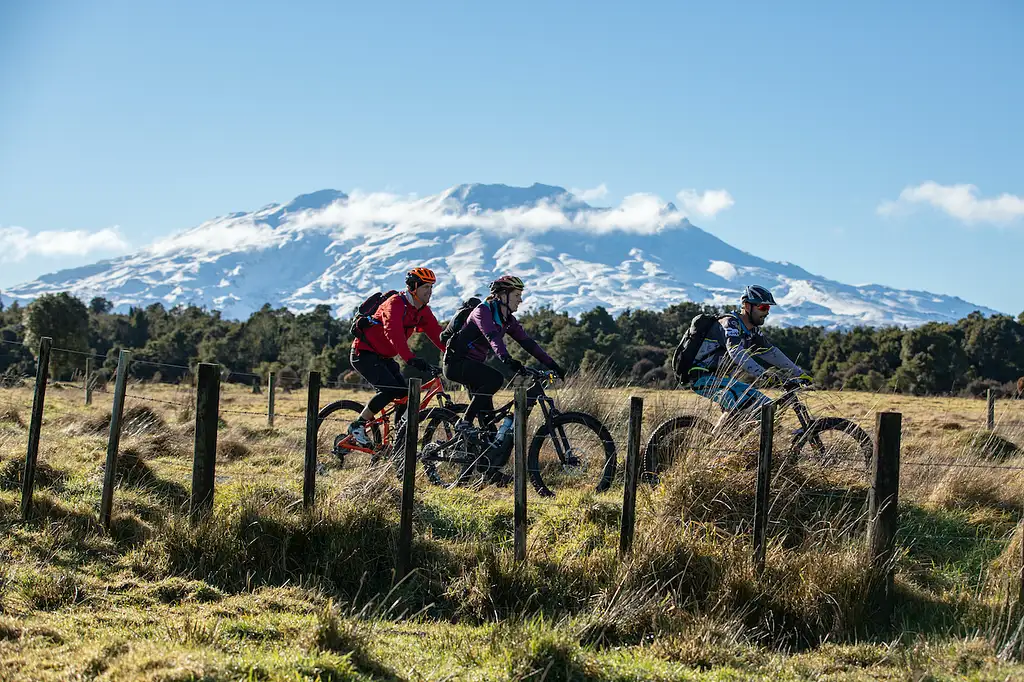 8 Day Pukeko Tour | Auckland to Wellington | Stray