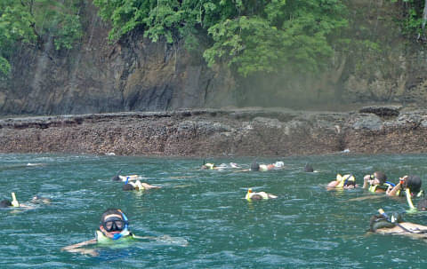 Kayak and Snorkeling from Jaco