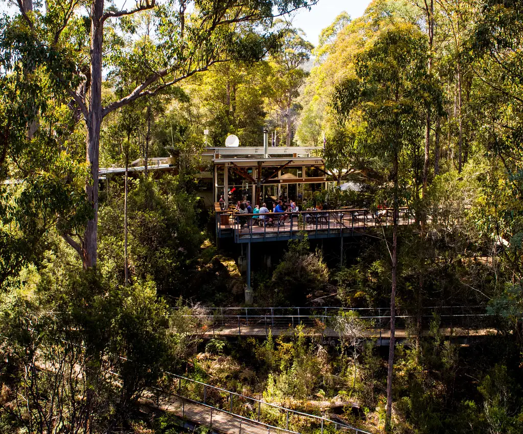 Huon Valley Kayaking and Tahune AirWalk