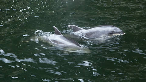 Premium Milford Sound Small-Group Tour Special
