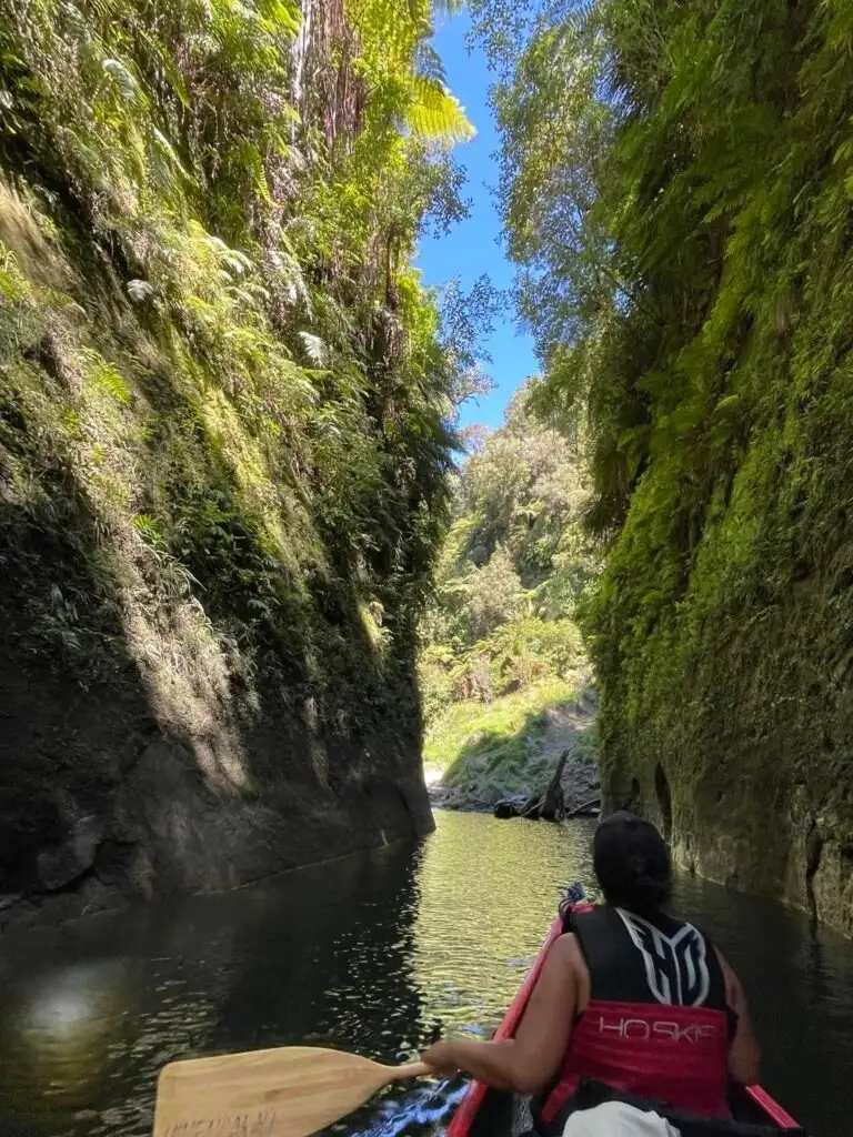 1-Day Whanganui River Journey - Freedom Paddle