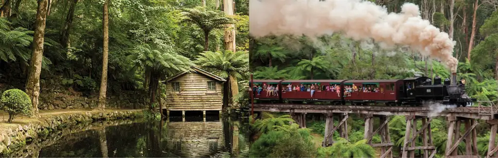 Dandenong Ranges Tour