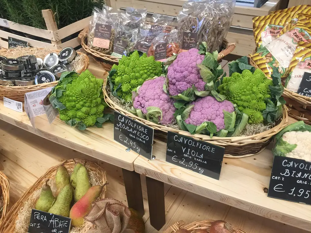 Guided Day Tour Of Bologna and FICO Eataly