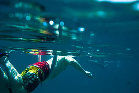 Guided Snorkel Tour