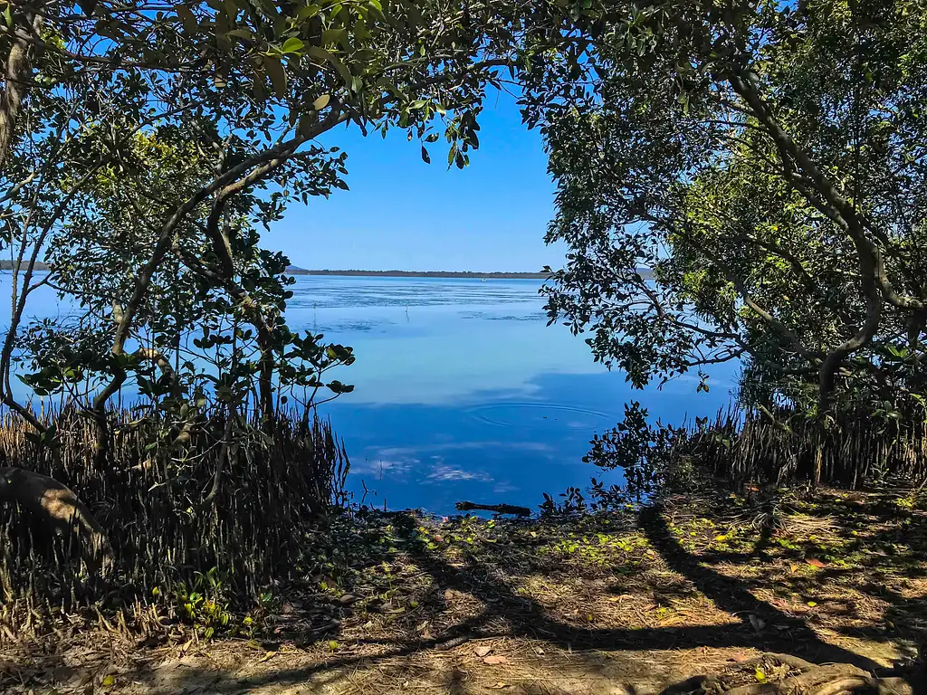 Secrets of Noosa Tour with Oceanview Lunch - Day Tour
