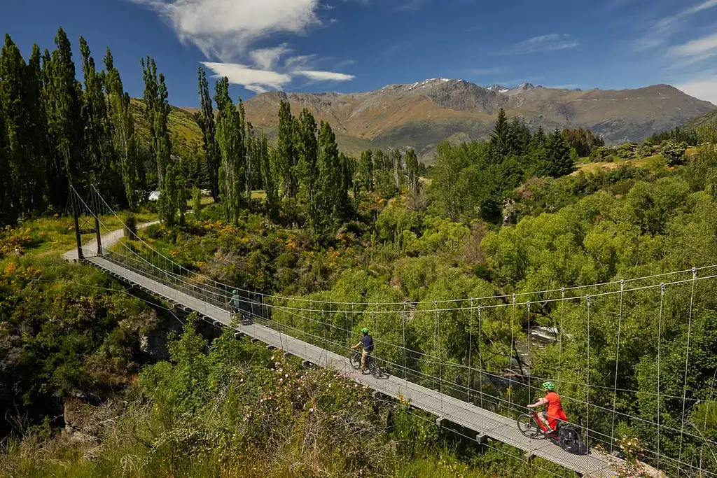 Guided Winery Tour by E-Bike | From Queenstown