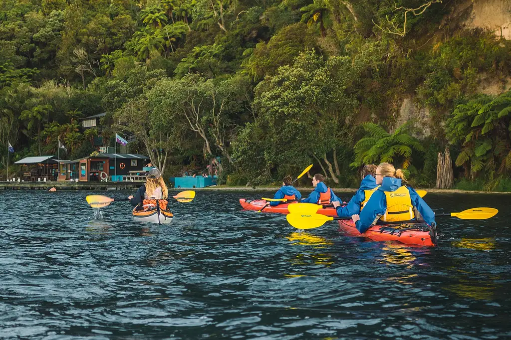 Starlight Kayak Experience + Manupirua Hot Pools Visit