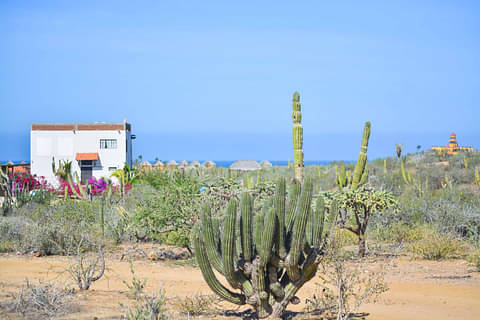 Todos Santos Jeep