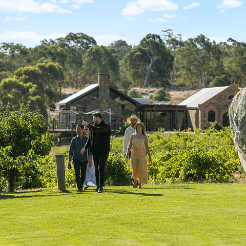 Barossa wine tasting