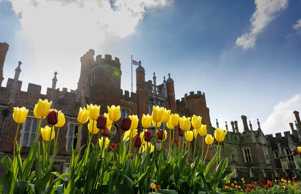 Hampton Court Palace Ticket | With Gardens & Maze
