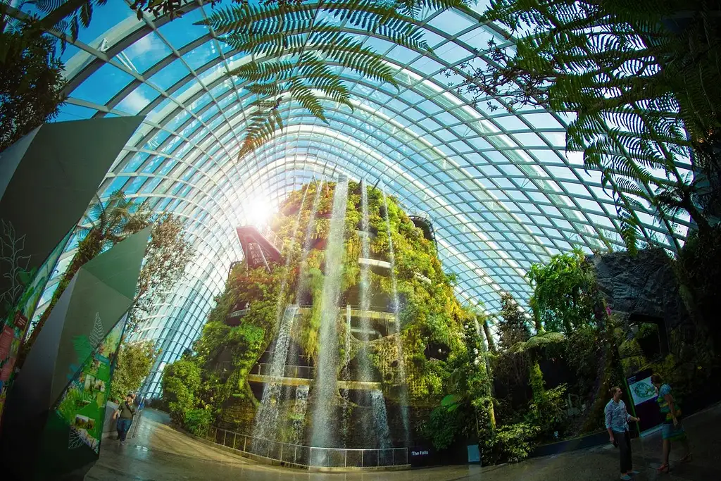 Gardens by the Bay Tour with Supertrees, Flower Dome and Cloud Forest