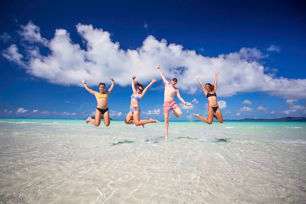 15 Day Byron Bay to Cairns Tour (Roo) | Stray