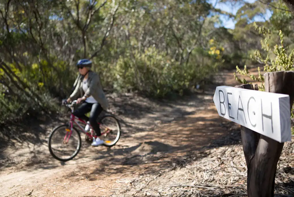 Great Ocean Road Small Group Tour