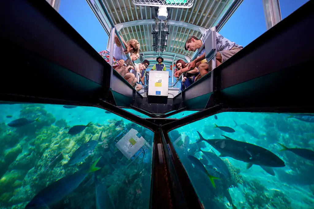 Green Island Half Day Tour from Cairns