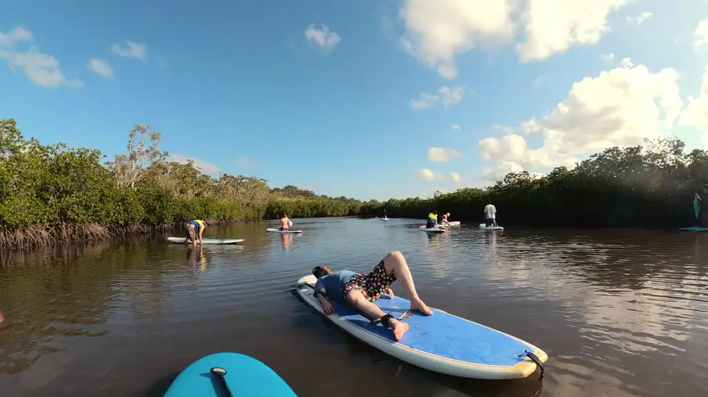 Noosa Stand Up Paddle & Mangrove Tunnel Tour