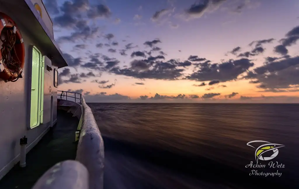 3 Day 3 Night Reef and Yongala Liveaboard Trip
