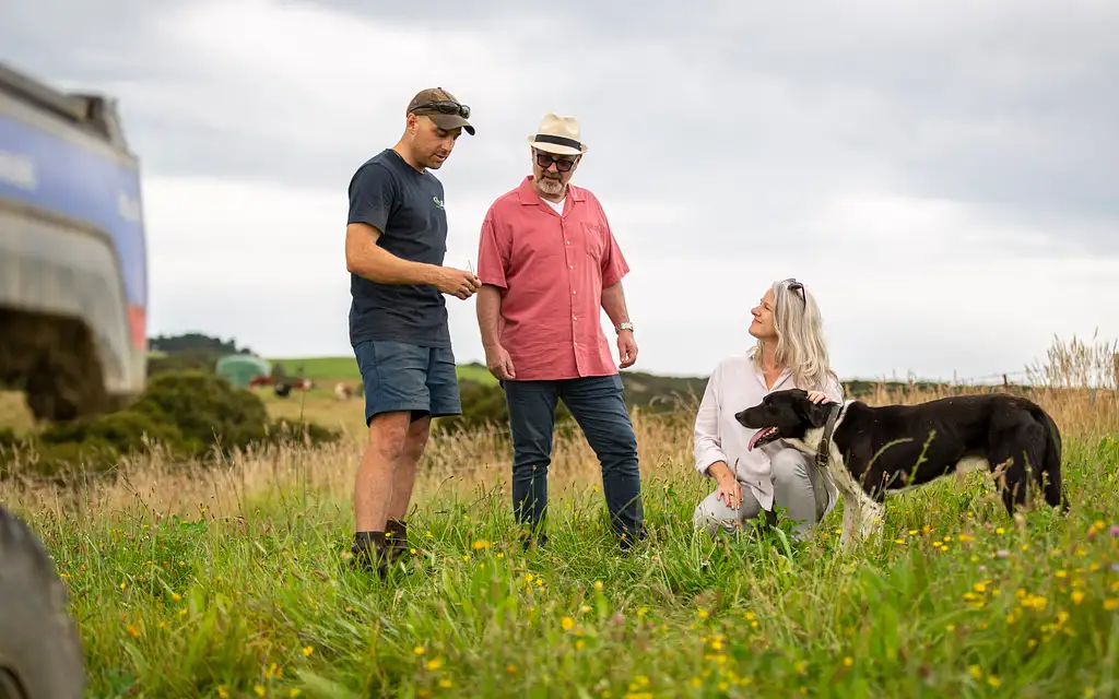 Tawanui Farm Tour