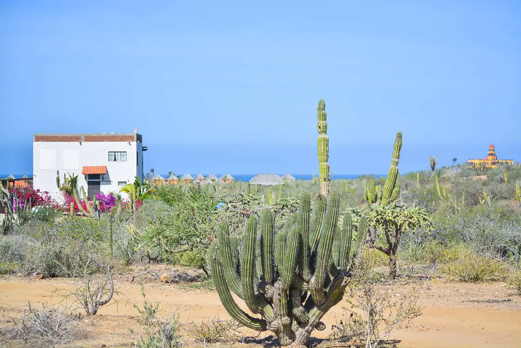 4WD Jeep Tour Of Todos Santos