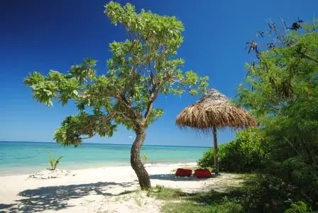 Savala Island Day Cruise