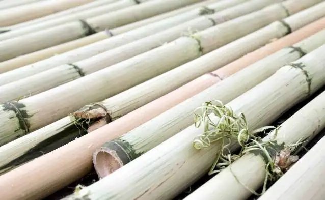 Balancing Bamboo: Craft Workshop