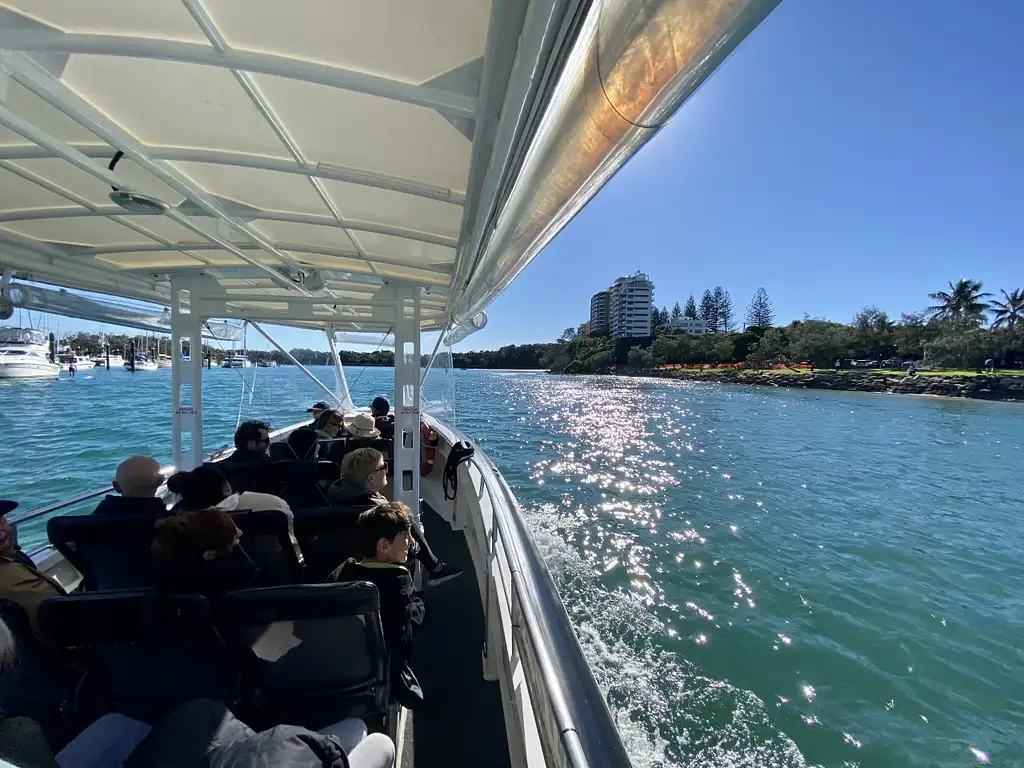 Mooloolaba Turtle Tour