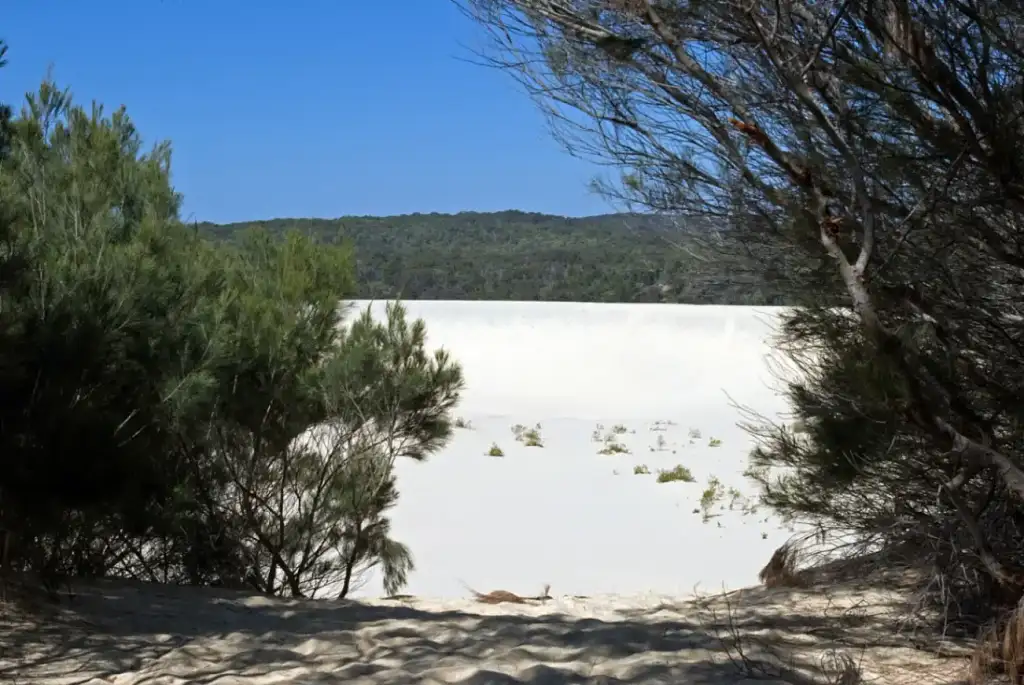 Moreton Island Snorkel & 4WD Day Trip from Brisbane
