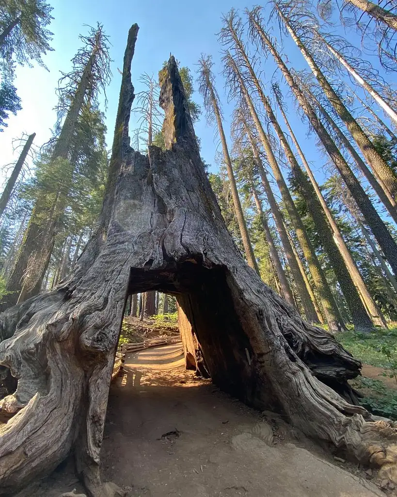 Yosemite Explorer Package