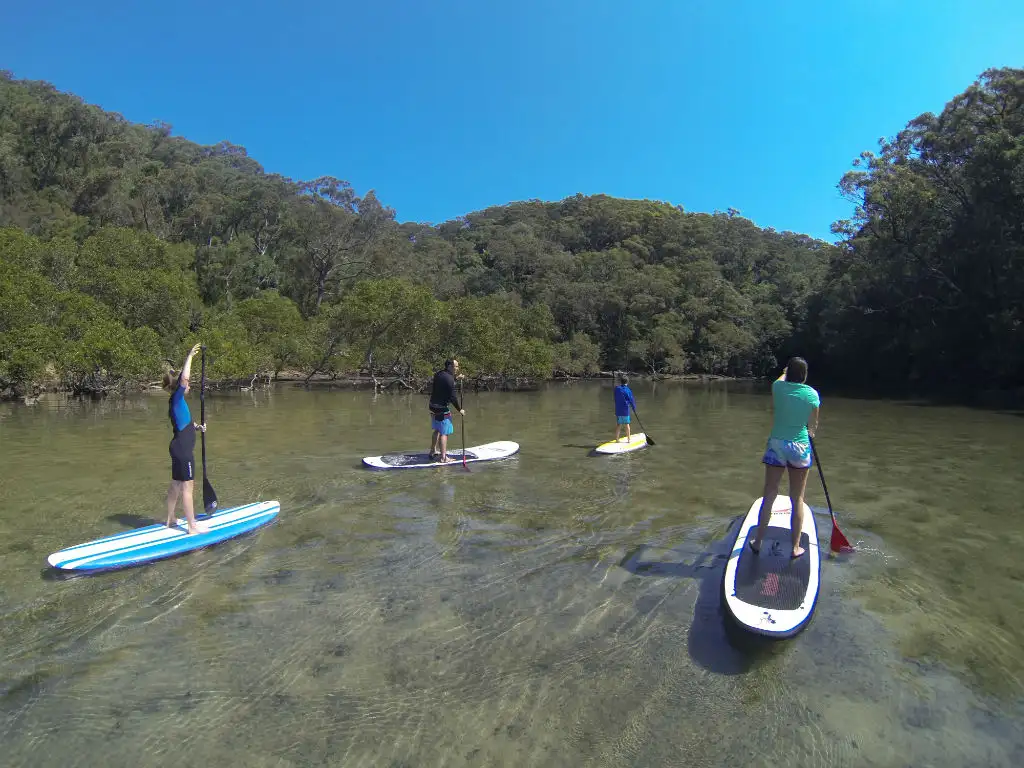 Basin Campground Stand Up Paddle Safari