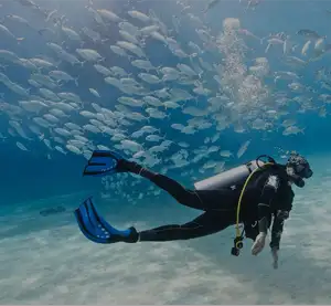 Dive & Snorkelling