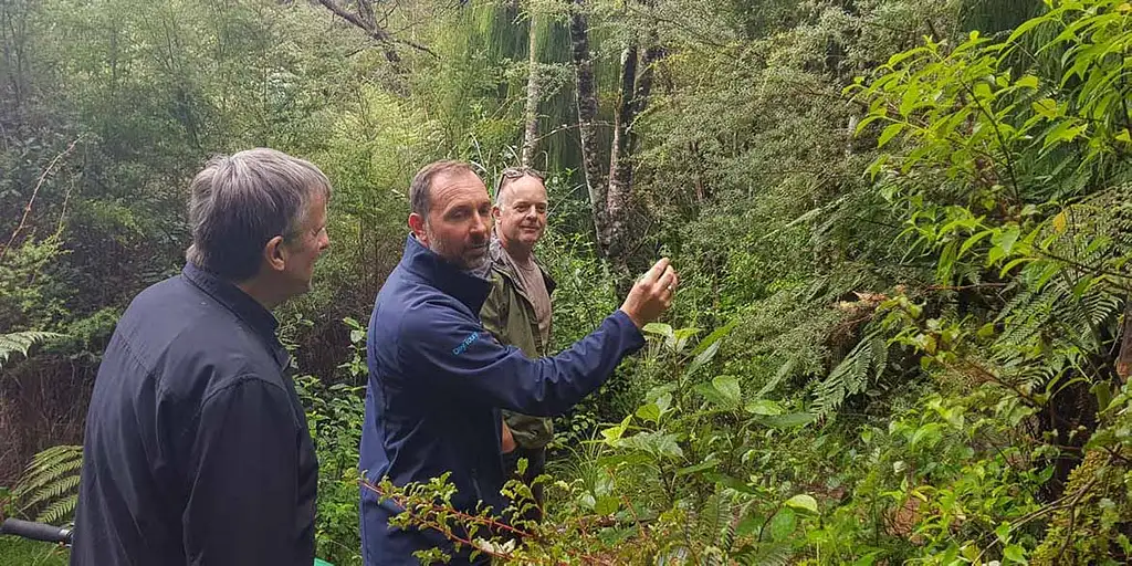Auckland - Best of Both Worlds City And Nature Tour