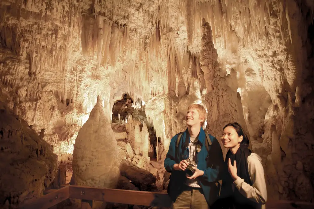 Aranui Cave Tour