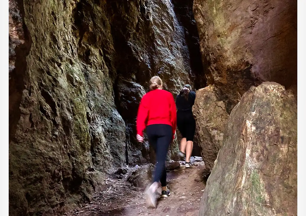 Springbrook Full Day Tour from Brisbane