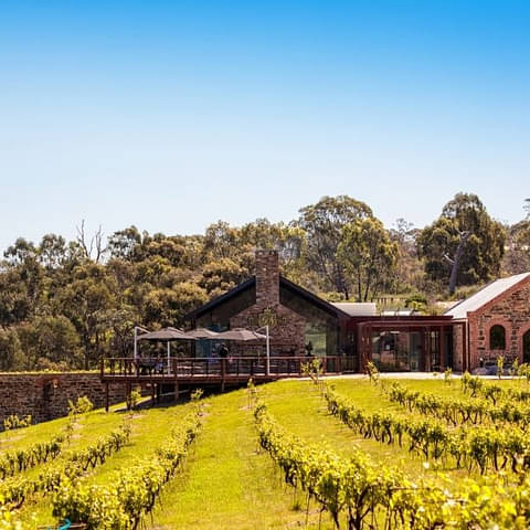 Barossa tours